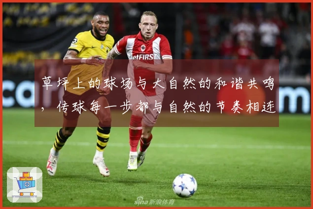 草坪上的球场与大自然的和谐共鸣，传球每一步都与自然的节奏相连