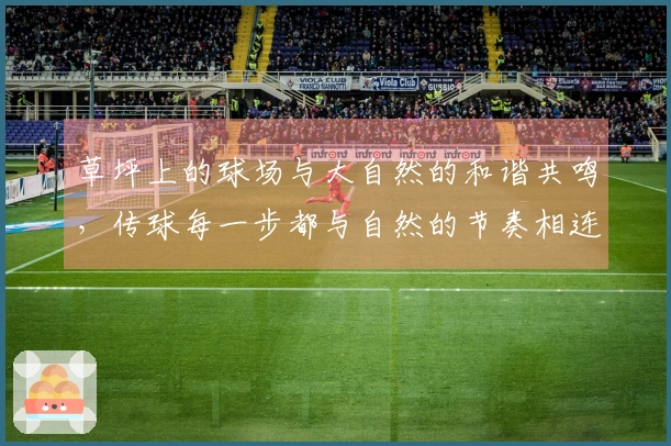 草坪上的球场与大自然的和谐共鸣，传球每一步都与自然的节奏相连