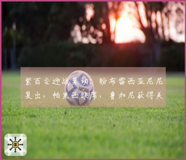 紫百合迎战莱切：盼布雷西亚尼尼复出，帕里西缺席，鲁加尼获得关注